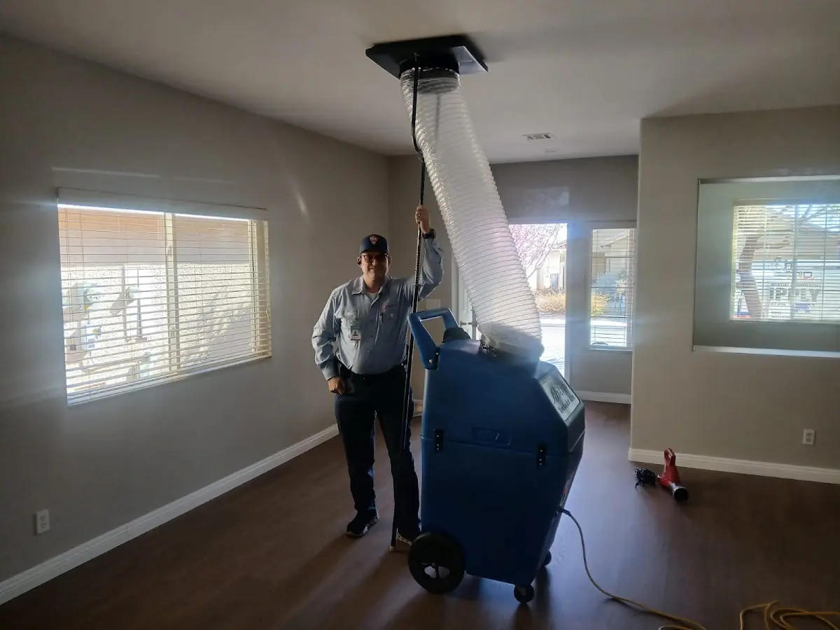 Professional Dryer Vent Cleaning work inside a Wilmington Island home